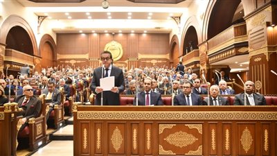 إرجاء الإصابة النفسية للدراسة.. الشيوخ يوافق على 3 حالات تخضع للتأمين بالصندوق الحكومي بمشروع قانون المسؤولية الطبية