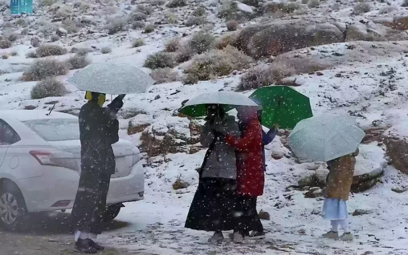 حصري النور نيوز | المسند يكشف | هذا موعد دخول موسمي الشبط والعقارب الباردين على السعودية وكم متبقي على رمضان